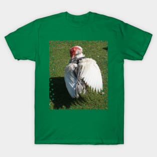 Muscovy Duck T-Shirt